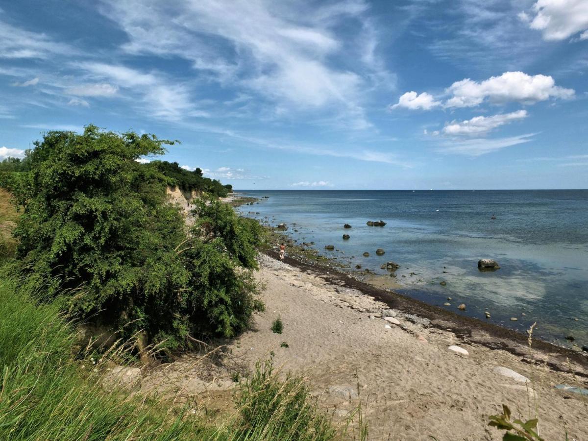 Seestern Strandnahe In Apartment *