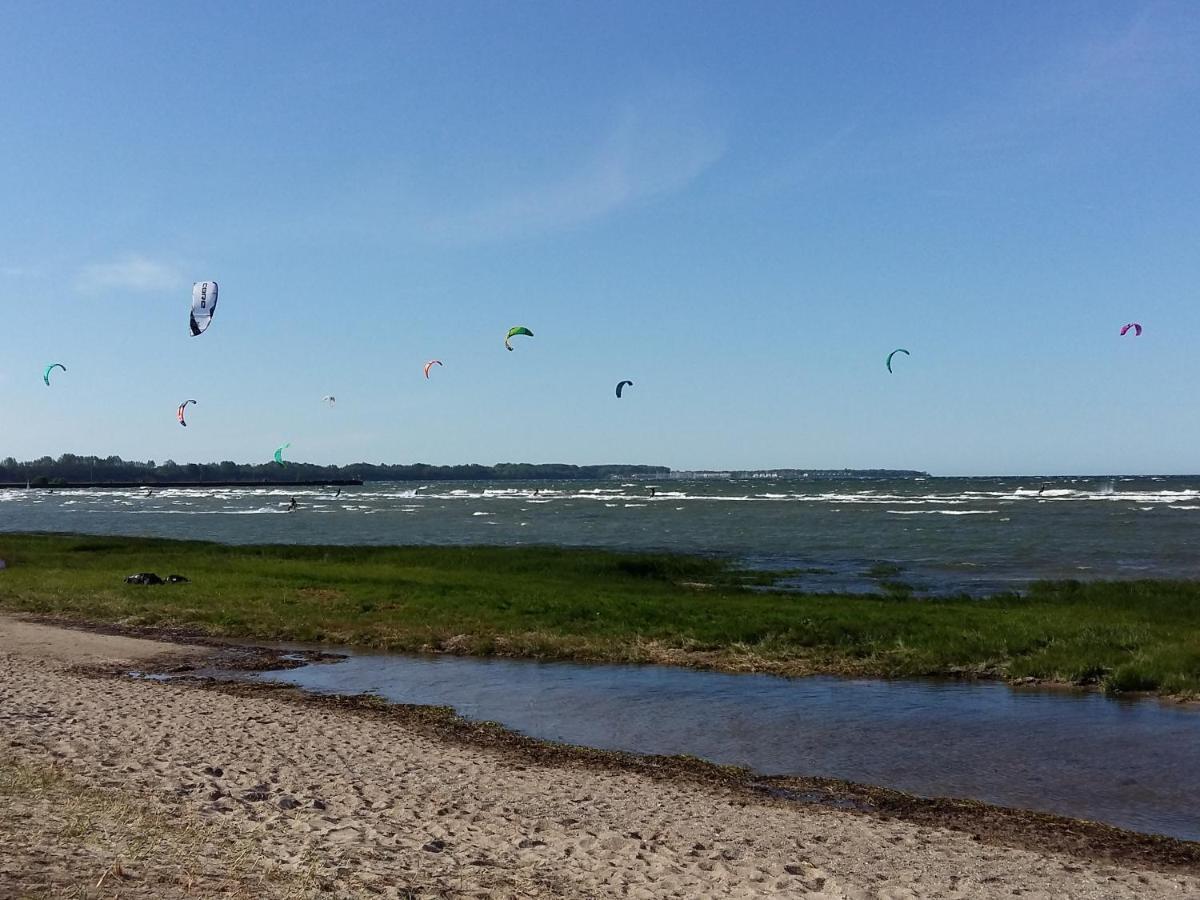 Seestern Strandnahe In *