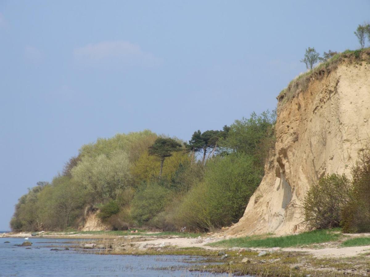 Seestern Strandnahe In * Hohen Wieschendorf
